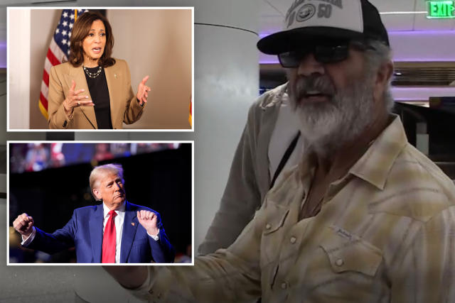 Mel Gibson backs Trump for president, says Harris has ‘the IQ of a fence post’